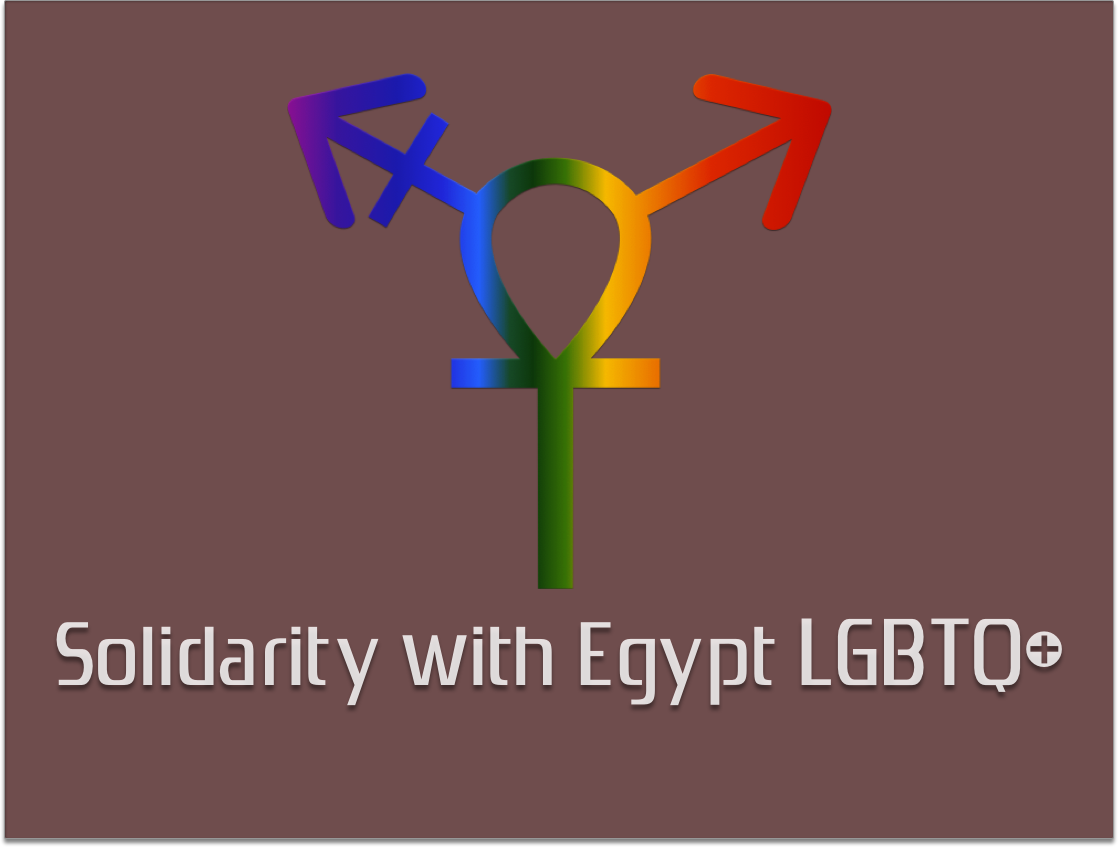 Solidarity with Egypt LGBTQ+ explains: "We designed this logo according to our beliefs, our identities, and the identity of our cause at Solidarity with Egypt LGBT. We used the 'Ankh' or key of life in order to express the historical meaning behind this symbol and how, in our minds, it is connected to feminism and the diversity of gender and sexual identity in Egypt."