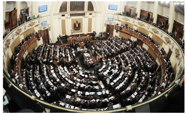 Egypt's Parliament (Photo courtesy fo the Alliance of Queer Egyptian Organizations.)