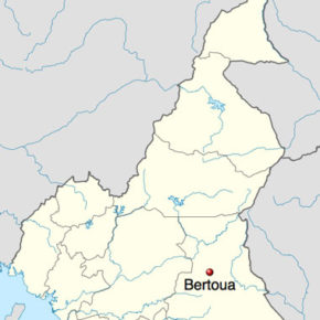The location of Bertoua in Cameroon.