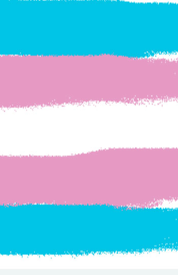 Colors of the Transgender Legal Defense Project banner. (Image courtesy of the Transgender Legal Defense Project)