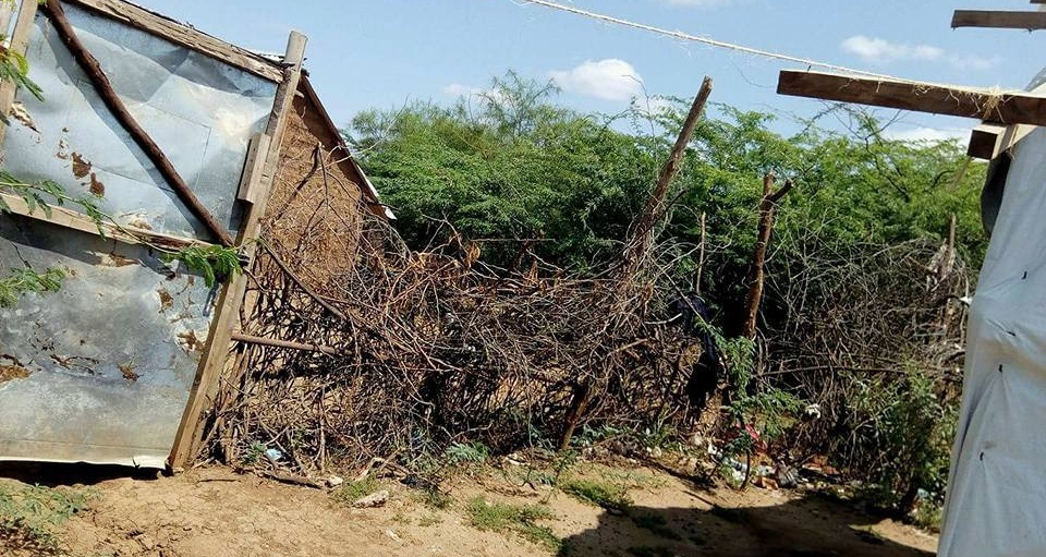 Thorn bushes are needed to keep homophobic intruders from disrupting Kakuma Camp Pride. (Photo courtesy of Mbazira Moses)