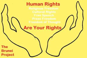 Logo of the Brunei Project