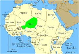 Location on Niger in north-central Africa. (Map courtesy of Google.com)