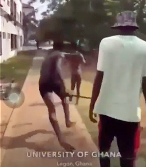 On the Legon campus of the University of Ghana on Jan. 24, 2024, homophobic attacker pursues a young man who has been stripped naked after being labeled as gay.(Screen shot from widely distributed online video)