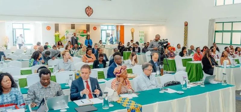 Scene from the Pan-African Conference on Family Values in Nairobi.