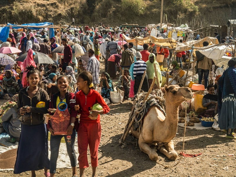 Ethiopian market (Lesly Deksen photo courtesy of Pambazuka News)