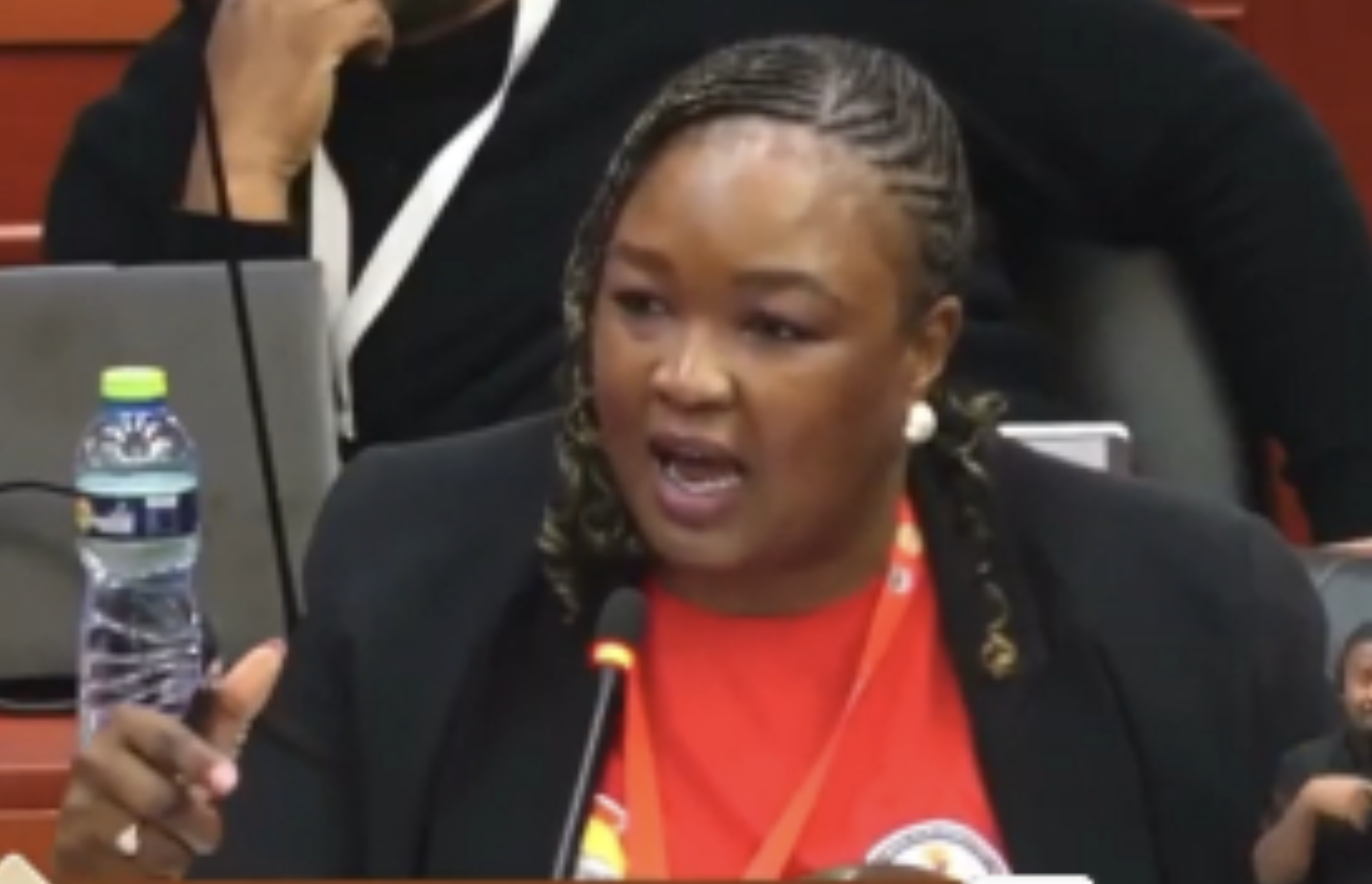 South African member of parliament Zandile Majozi tells the anti-LGBTQ conference that her nation rejects the human rights violations contained in the proposed anti-LGBTQ+ African charter.